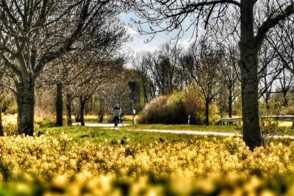 Apartmentvermittlung Mehr Als Meer - Objekt 7 Niendorf  Eksteriør billede